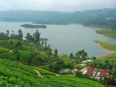 Nuwara Eliya