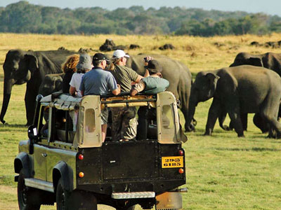 Yala National Park